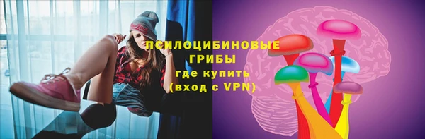 PSILOCYBIN Баксан