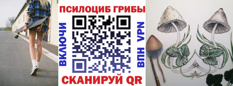 Галлюциногенные грибы Psilocybe  Болхов 